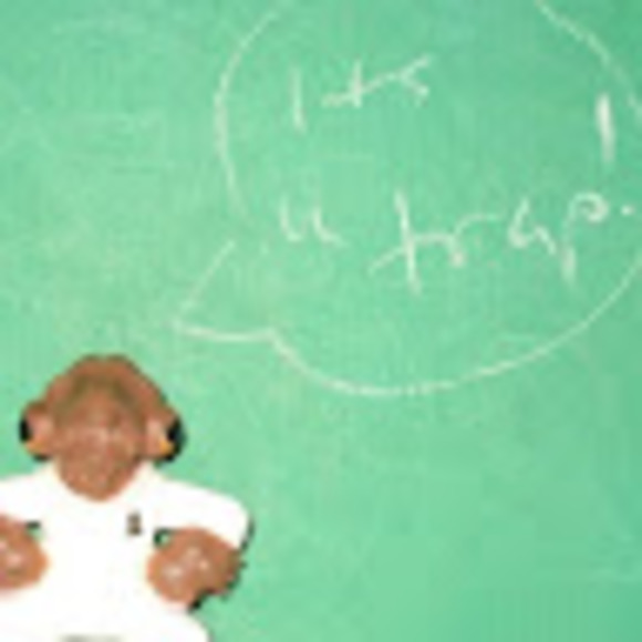 Meet your Posher, Matt - Picture 1 of 1